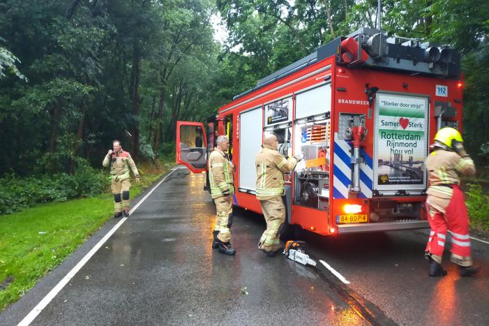 Omgewaaide boom verspert weg