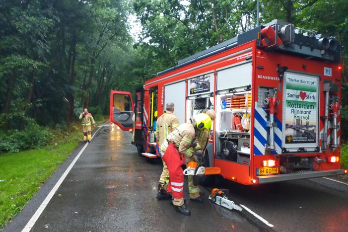 Omgewaaide boom verspert weg