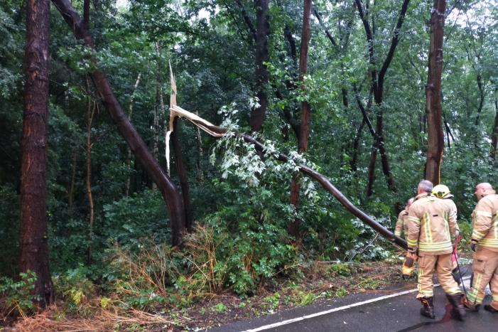 Omgewaaide boom verspert weg