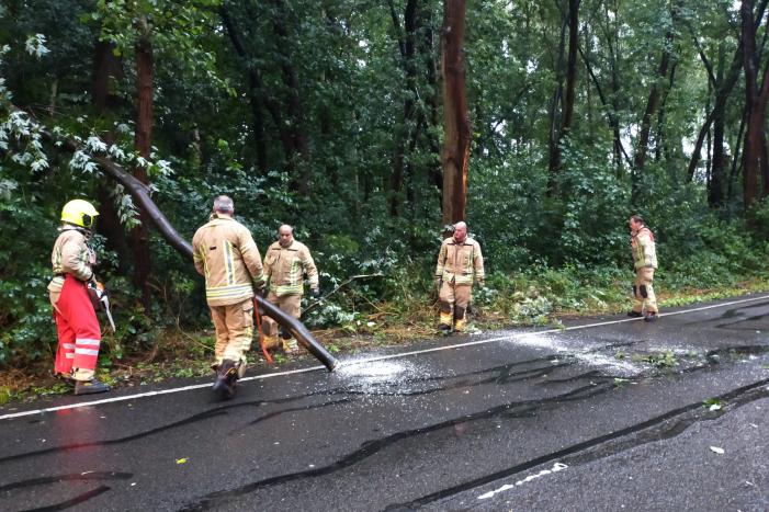 Omgewaaide boom verspert weg