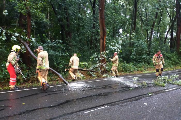 Omgewaaide boom verspert weg