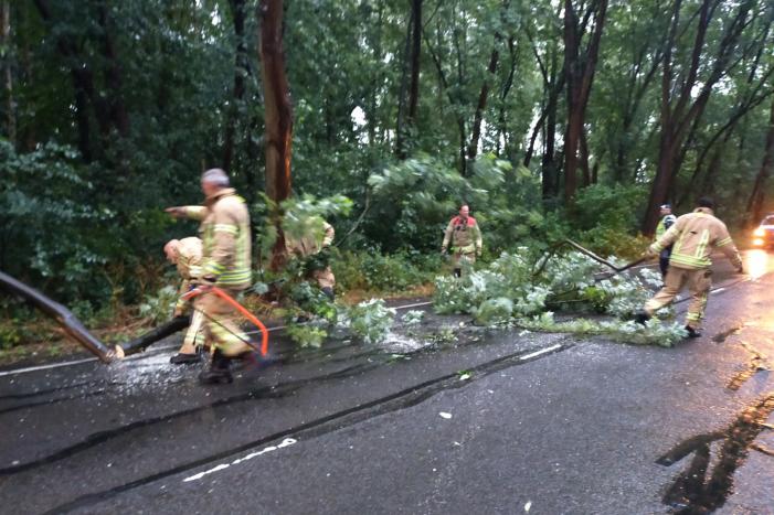Omgewaaide boom verspert weg