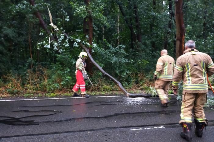 Omgewaaide boom verspert weg