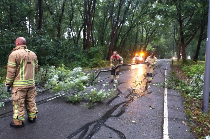Omgewaaide boom verspert weg