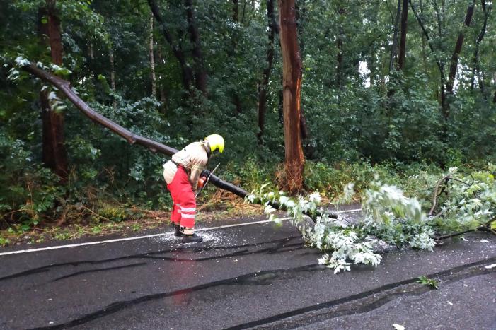 Omgewaaide boom verspert weg