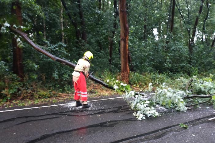 Omgewaaide boom verspert weg