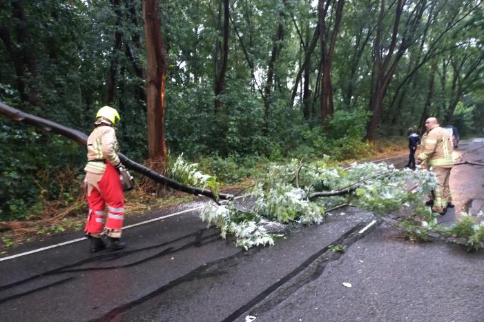 Omgewaaide boom verspert weg