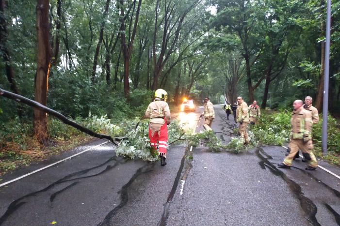 Omgewaaide boom verspert weg