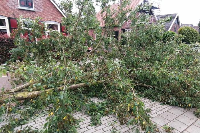 Weg verspert door omgewaaide boom