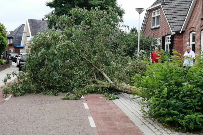 Weg verspert door omgewaaide boom