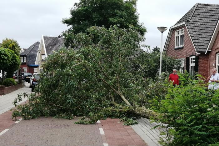 Weg verspert door omgewaaide boom