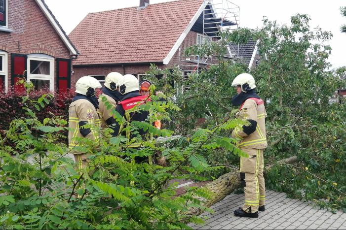 Weg verspert door omgewaaide boom