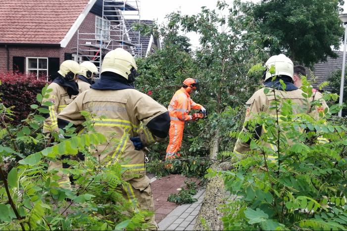 Weg verspert door omgewaaide boom