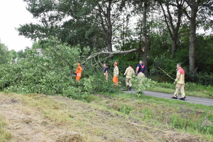 Grote tak breekt van boom en valt op voetpad