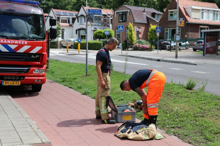 Boom waait om door harde wind