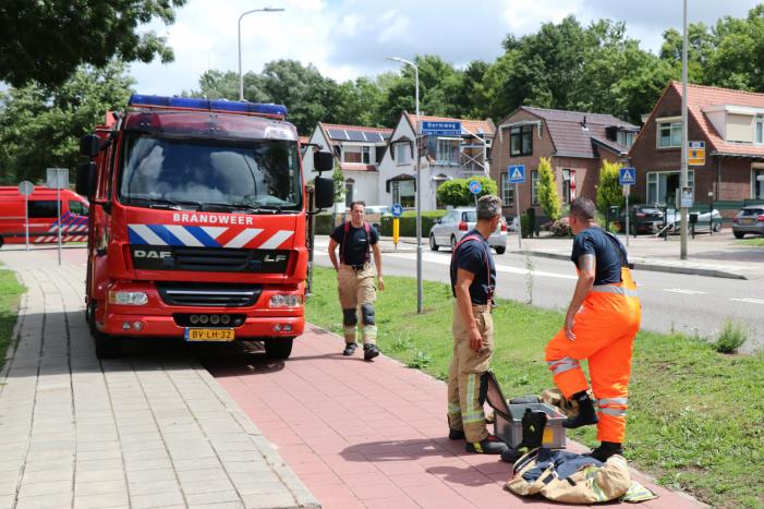Boom waait om door harde wind