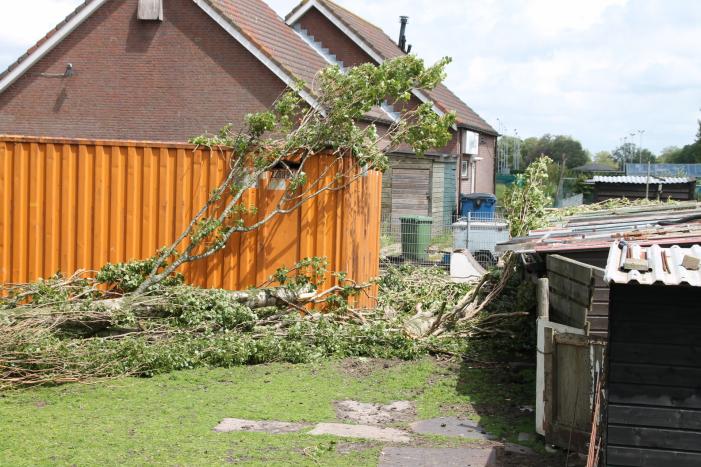 Grote boom valt op container