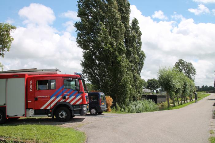 Grote boom valt op container