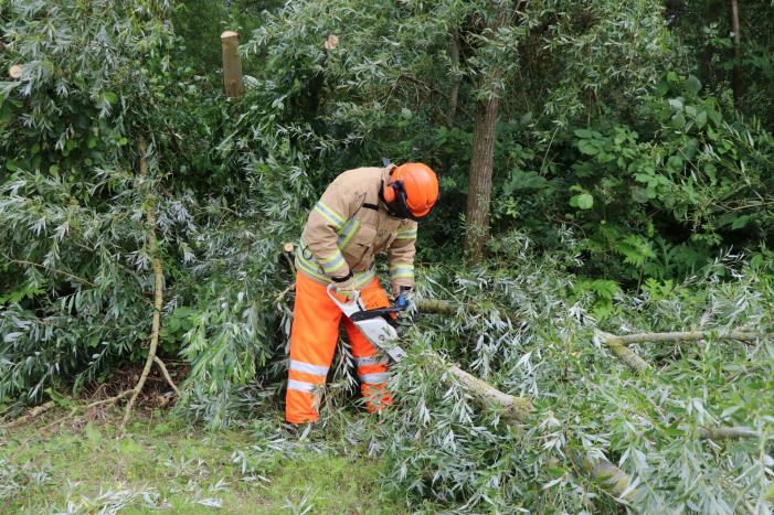 Omgevallen boom versperd de weg