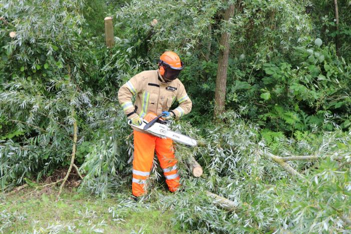 Omgevallen boom versperd de weg