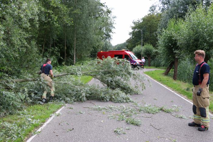 Omgevallen boom versperd de weg