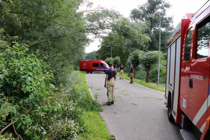 Omgevallen boom versperd de weg