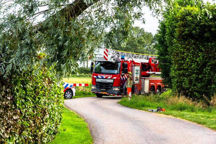 Afgebroken tak verpletterd verkeersbord