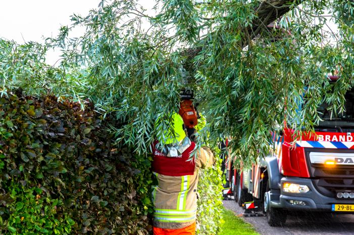 Afgebroken tak verpletterd verkeersbord