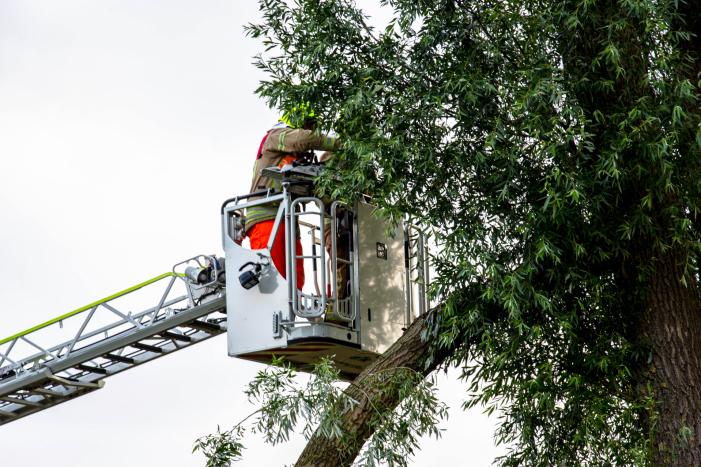 Afgebroken tak verpletterd verkeersbord
