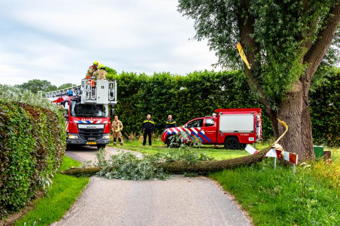 Afgebroken tak verpletterd verkeersbord