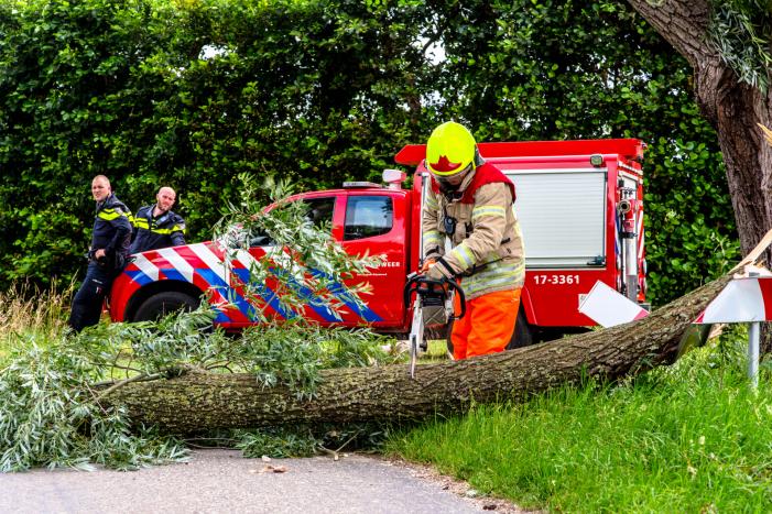 Afgebroken tak verpletterd verkeersbord