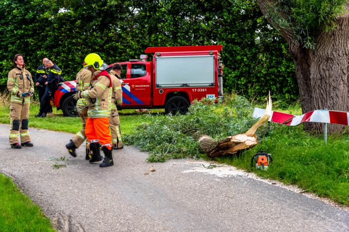 Afgebroken tak verpletterd verkeersbord