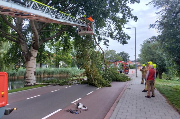 Brandweer verwijderd tak op doorgaande weg