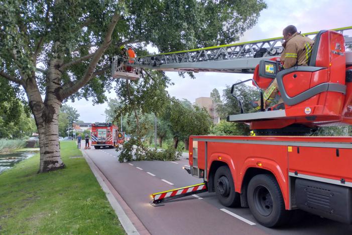 Brandweer verwijderd tak op doorgaande weg