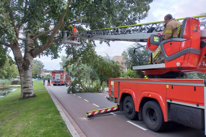 Brandweer verwijderd tak op doorgaande weg