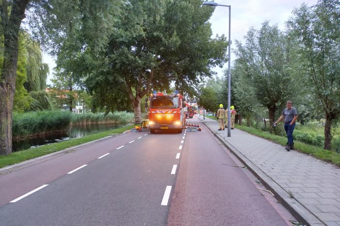Brandweer verwijderd tak op doorgaande weg