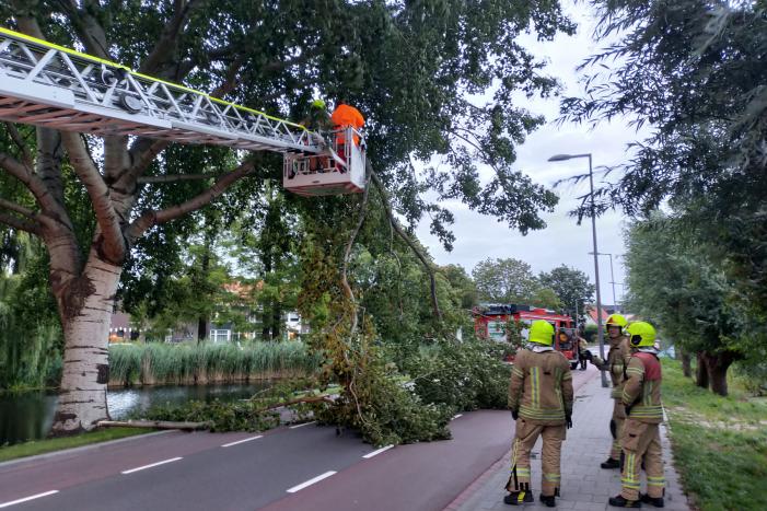 Brandweer verwijderd tak op doorgaande weg