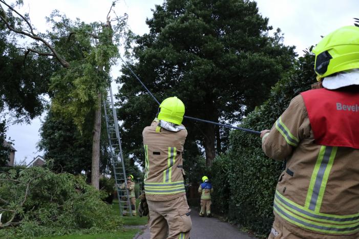 Meerdere gevaarlijk hangende takken verwijderd