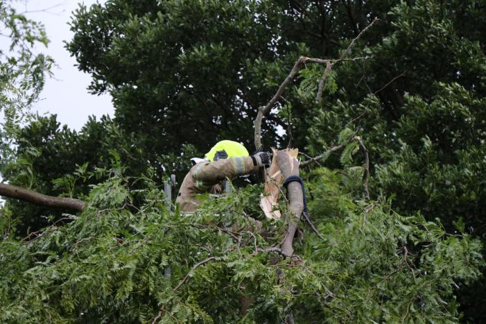 Meerdere gevaarlijk hangende takken verwijderd