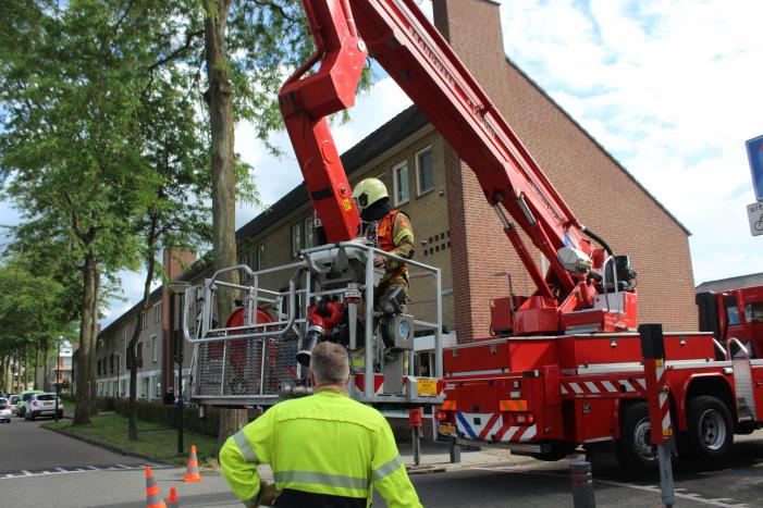 Levensgevaarlijk tak verwijdert met hoogwerker