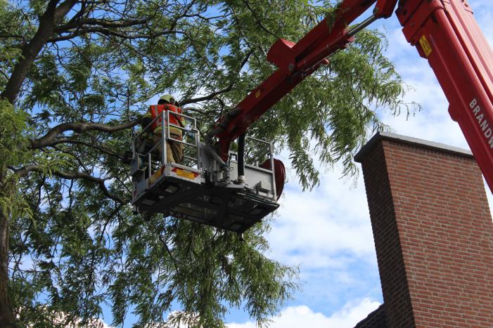 Levensgevaarlijk tak verwijdert met hoogwerker