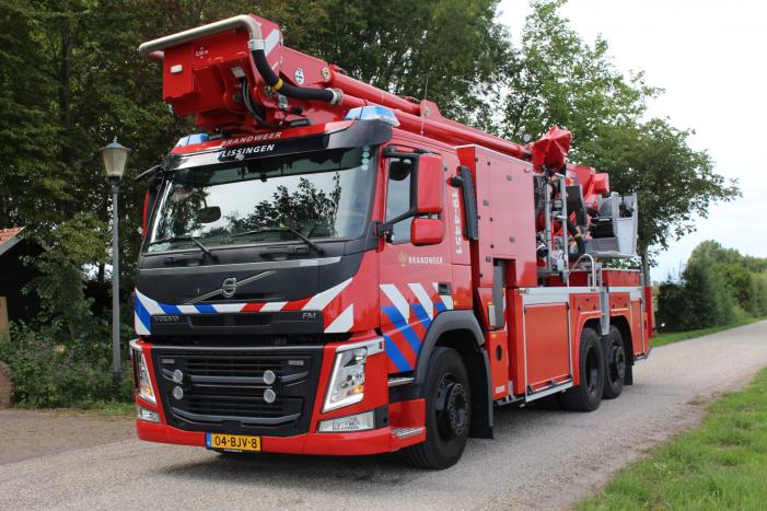 Kat vast in hoge boom