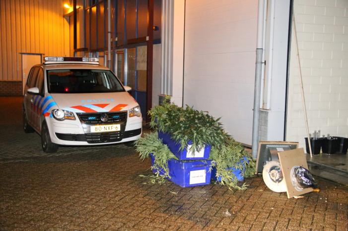 Hennepkwekerij aangetroffen door politie
