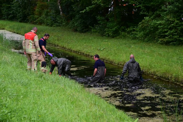 Brandweer doorzoekt sloot na aantreffen kinderfiets