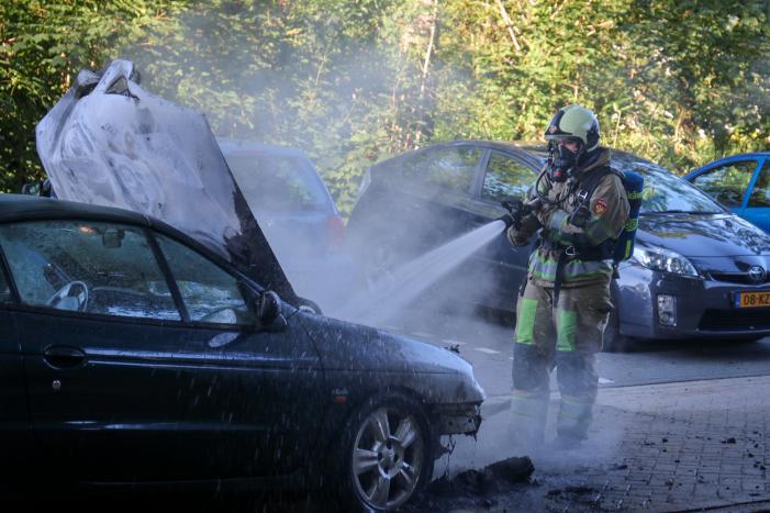 Auto totaal verwoest door brand