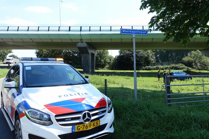 Auto raakt van de weg en belandt in weiland