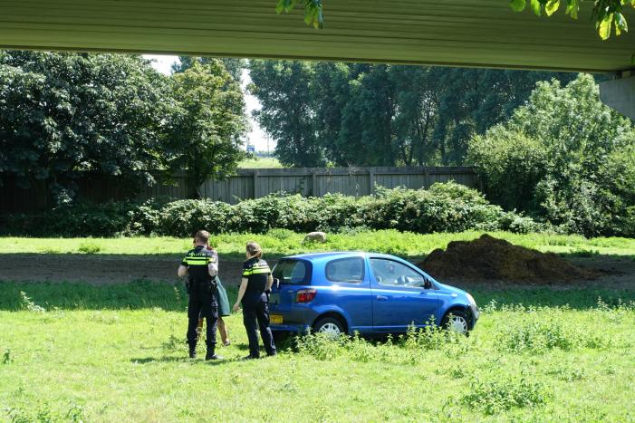 Auto raakt van de weg en belandt in weiland