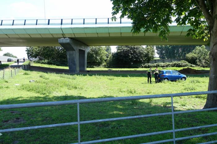 Auto raakt van de weg en belandt in weiland