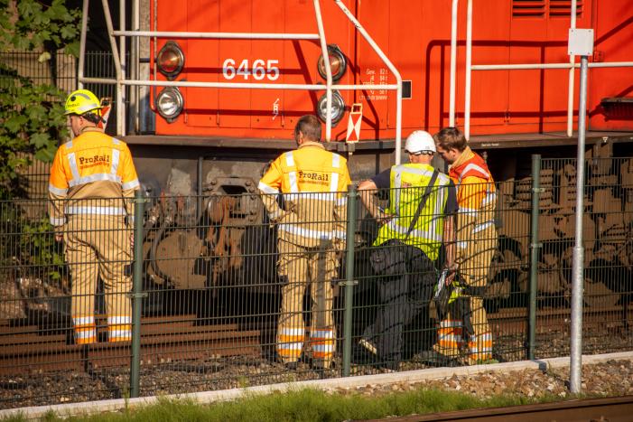 Goederentrein van spoor gelopen