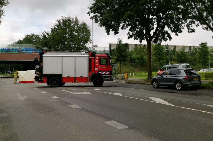 Loslopend paard aangereden door vrachtwagen